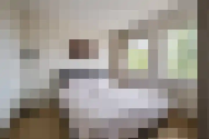 de Moriaan 27 Oirschot thumbnail 29