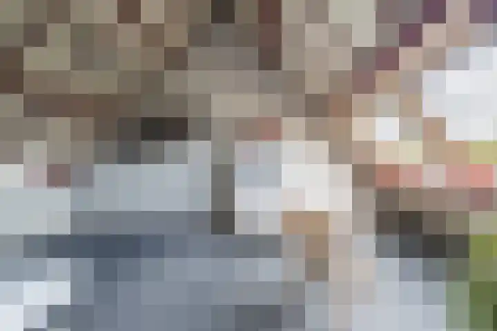 de Moriaan 27 Oirschot thumbnail 32