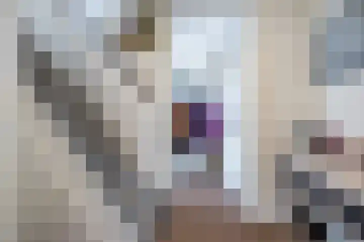 de Moriaan 27 Oirschot thumbnail 5
