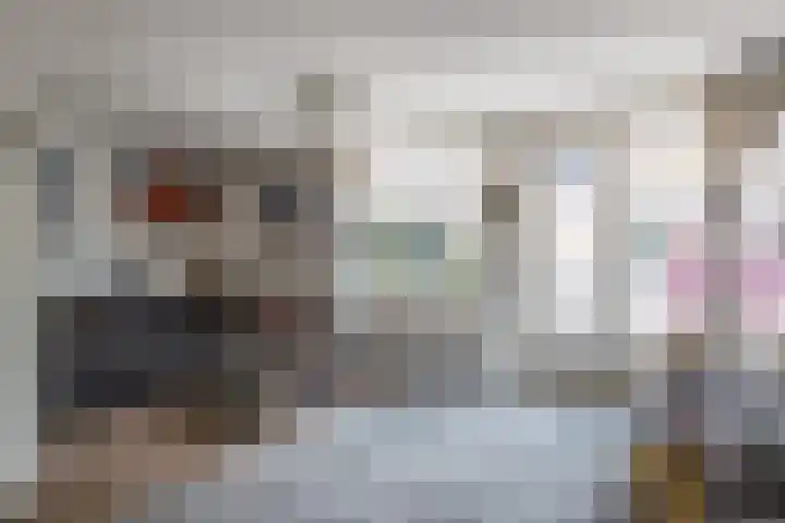 de Moriaan 27 Oirschot thumbnail 9