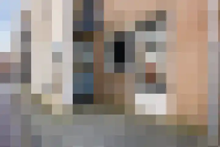 de Moriaan 41 A Oirschot thumbnail 5