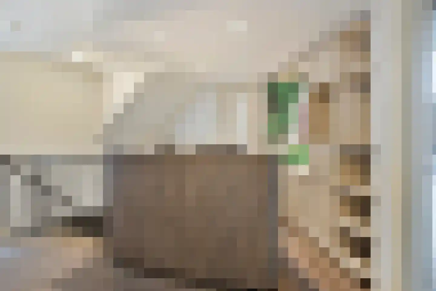 de Moriaan 41 D Oirschot thumbnail 20