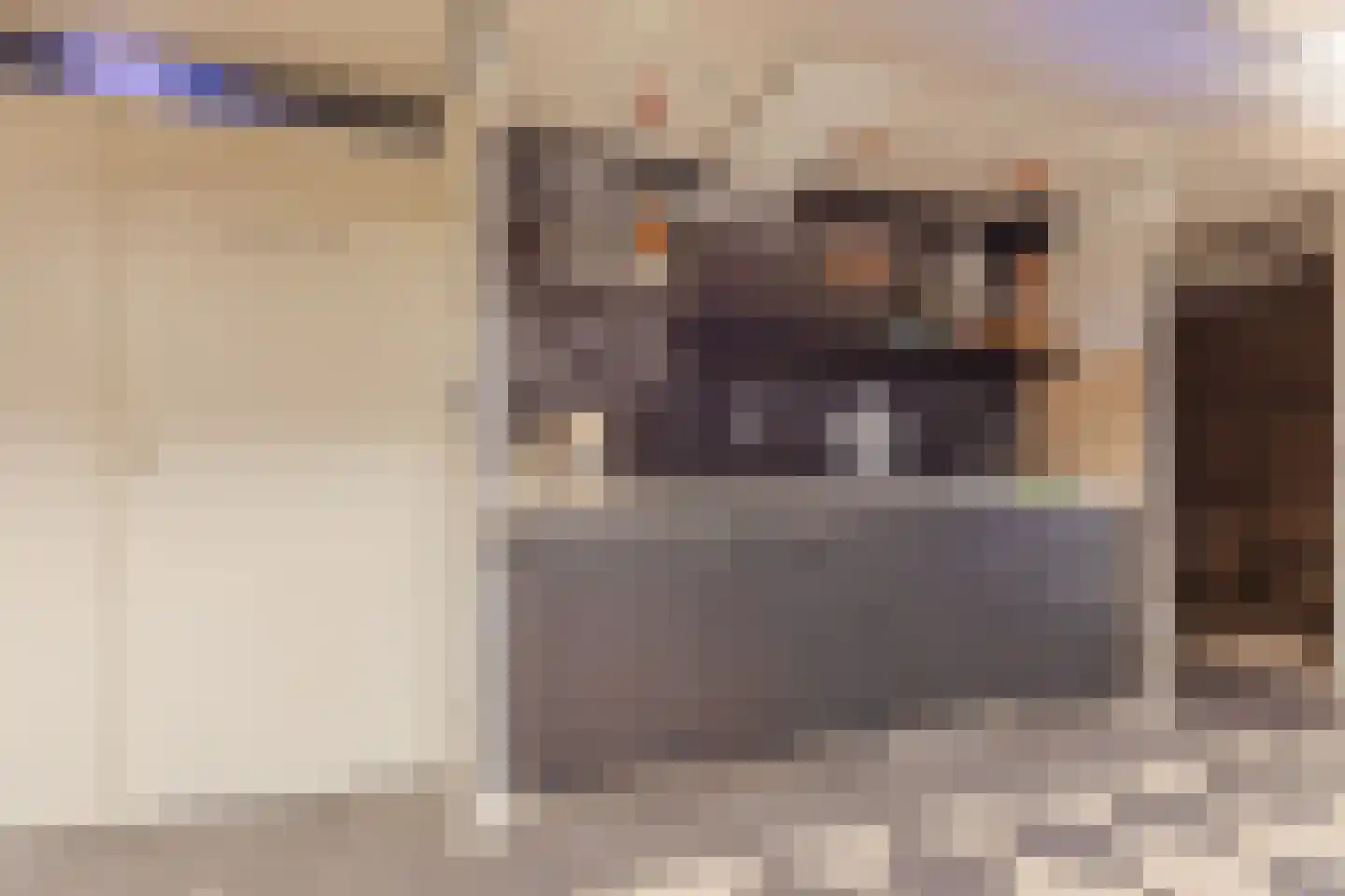 de Moriaan 41 G Oirschot thumbnail 14