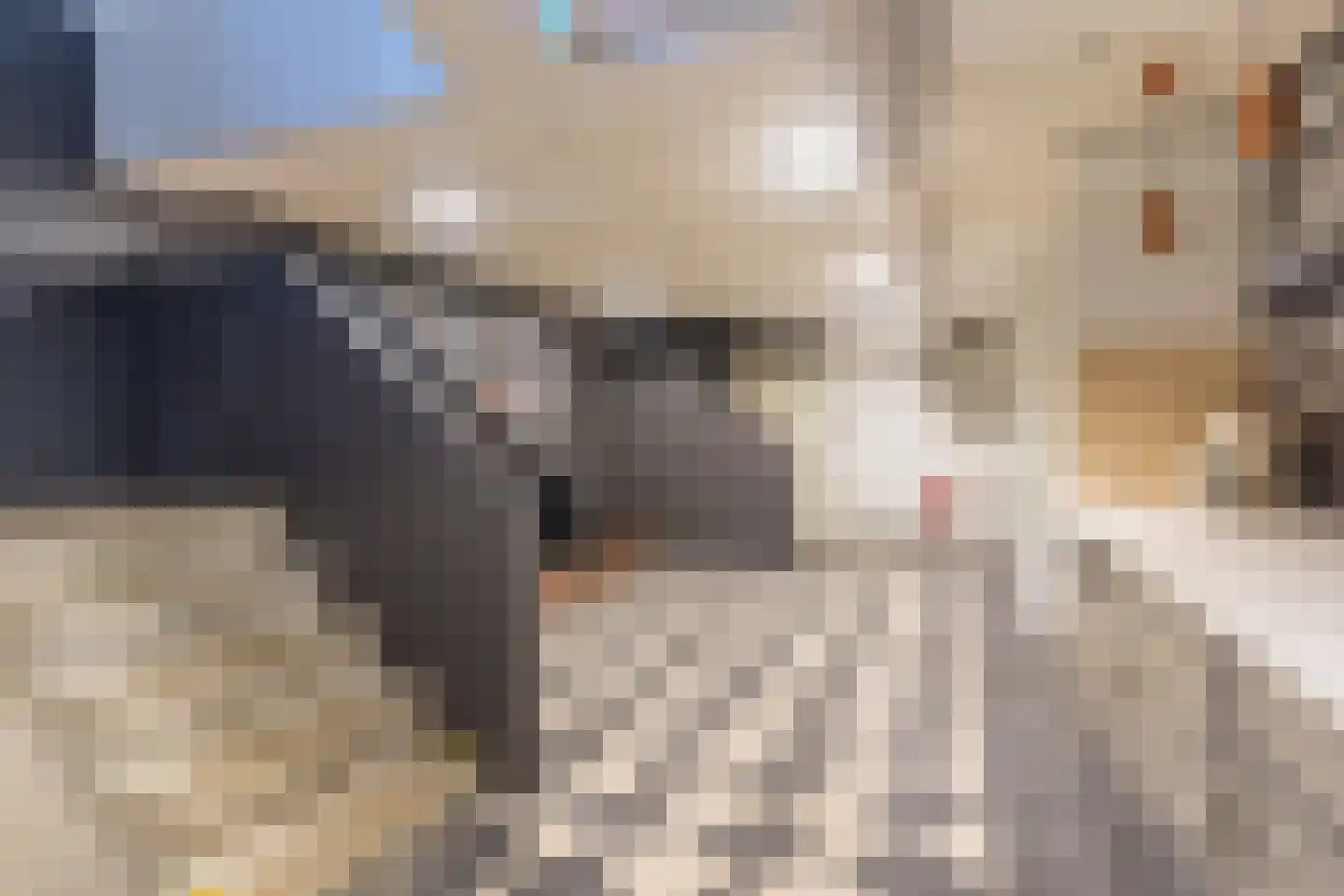 de Moriaan 41 G Oirschot thumbnail 16