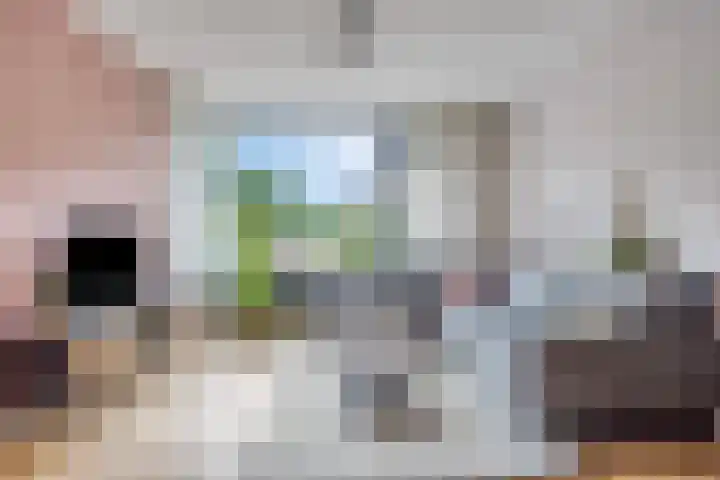 De Morinel 142 Dronten thumbnail 11