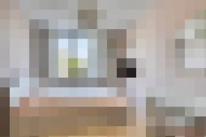 De Morinel 142 Dronten thumbnail 17