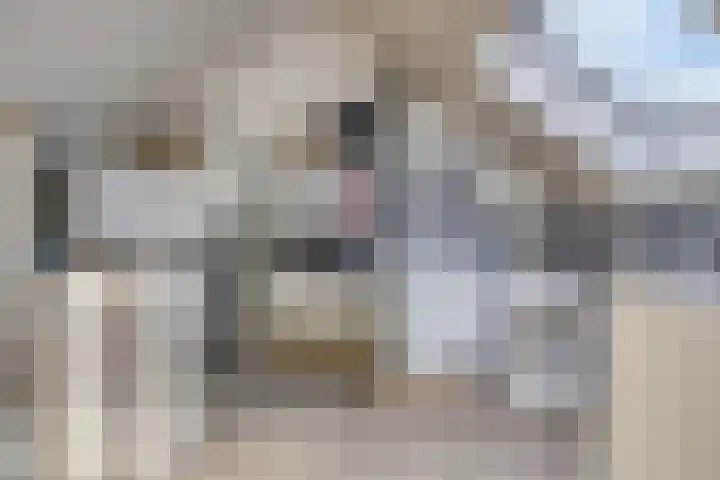 De Morinel 142 Dronten thumbnail 21