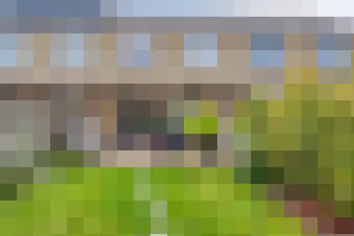De Morinel 142 Dronten thumbnail 22