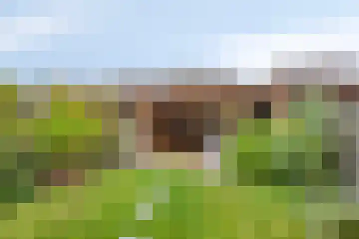 De Morinel 142 Dronten thumbnail 23