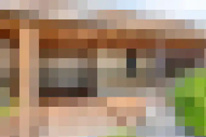 De Morinel 142 Dronten thumbnail 24