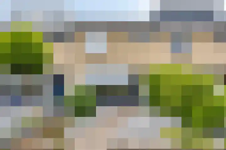 De Morinel 142 Dronten thumbnail 26