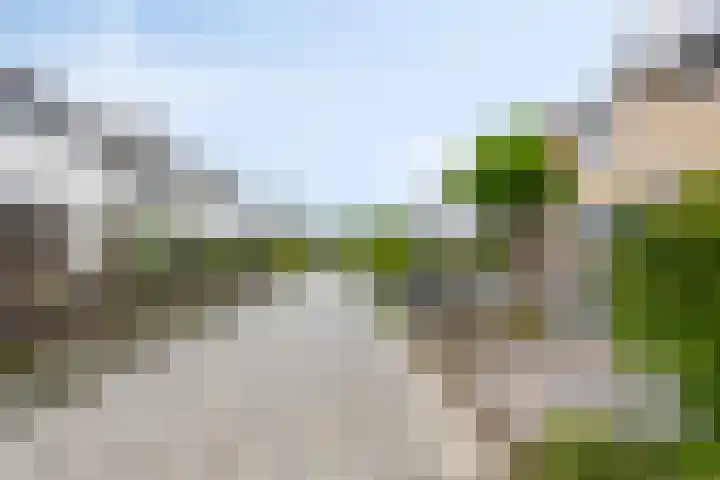 De Morinel 142 Dronten thumbnail 27