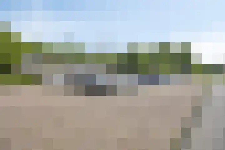 De Morinel 142 Dronten thumbnail 28
