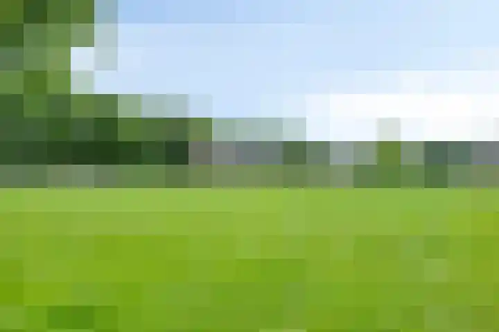 De Morinel 142 Dronten thumbnail 29