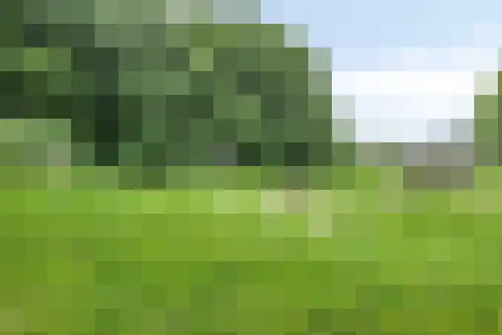 De Morinel 142 Dronten thumbnail 30