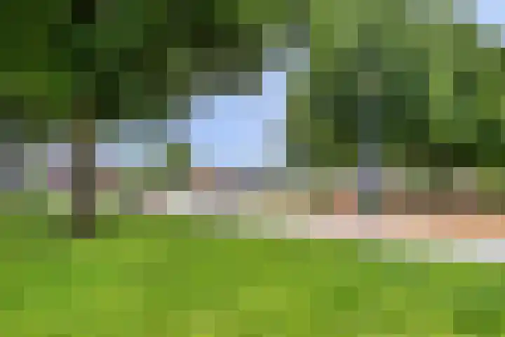 De Morinel 142 Dronten thumbnail 31