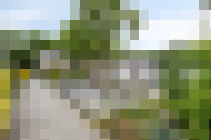 De Morinel 142 Dronten thumbnail 4