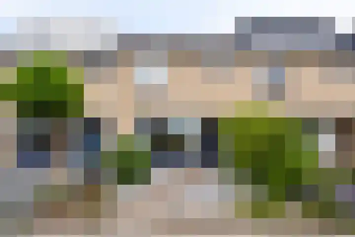 De Morinel 142 Dronten thumbnail 5