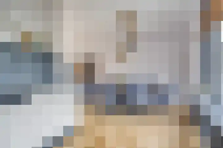De Morinel 142 Dronten thumbnail 8