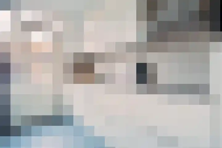 De Morinel 148 Dronten thumbnail 16