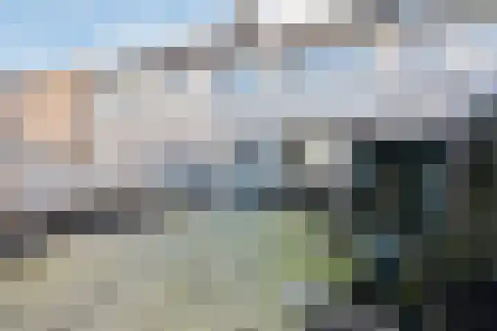 De Morinel 148 Dronten thumbnail 28