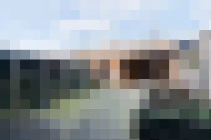 De Morinel 148 Dronten thumbnail 29