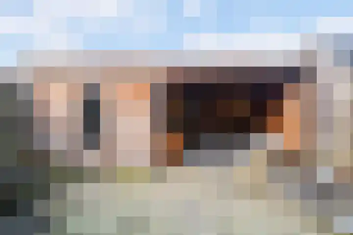 De Morinel 148 Dronten thumbnail 30