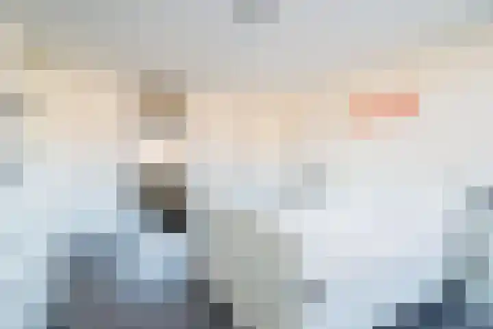 De Morinel 148 Dronten thumbnail 5
