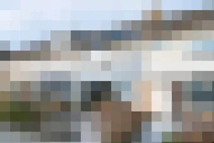 De Morinel 148 Dronten thumbnail 7