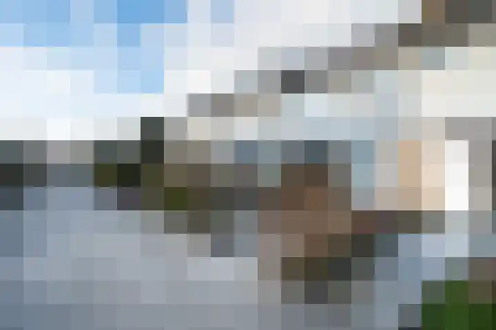 De Morinel 148 Dronten thumbnail 8