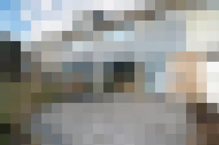 De Morinel 148 Dronten thumbnail 9