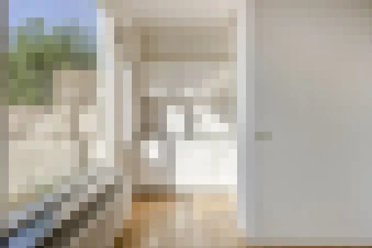 De Morinel 20 Dronten thumbnail 13