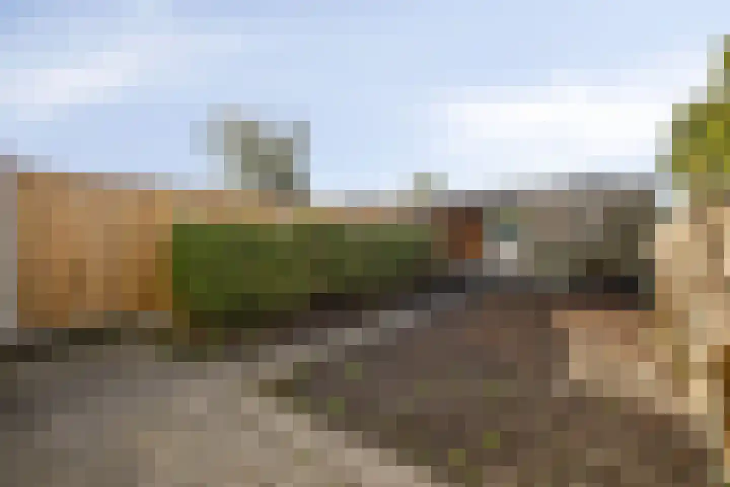 De Morinel 20 Dronten thumbnail 26