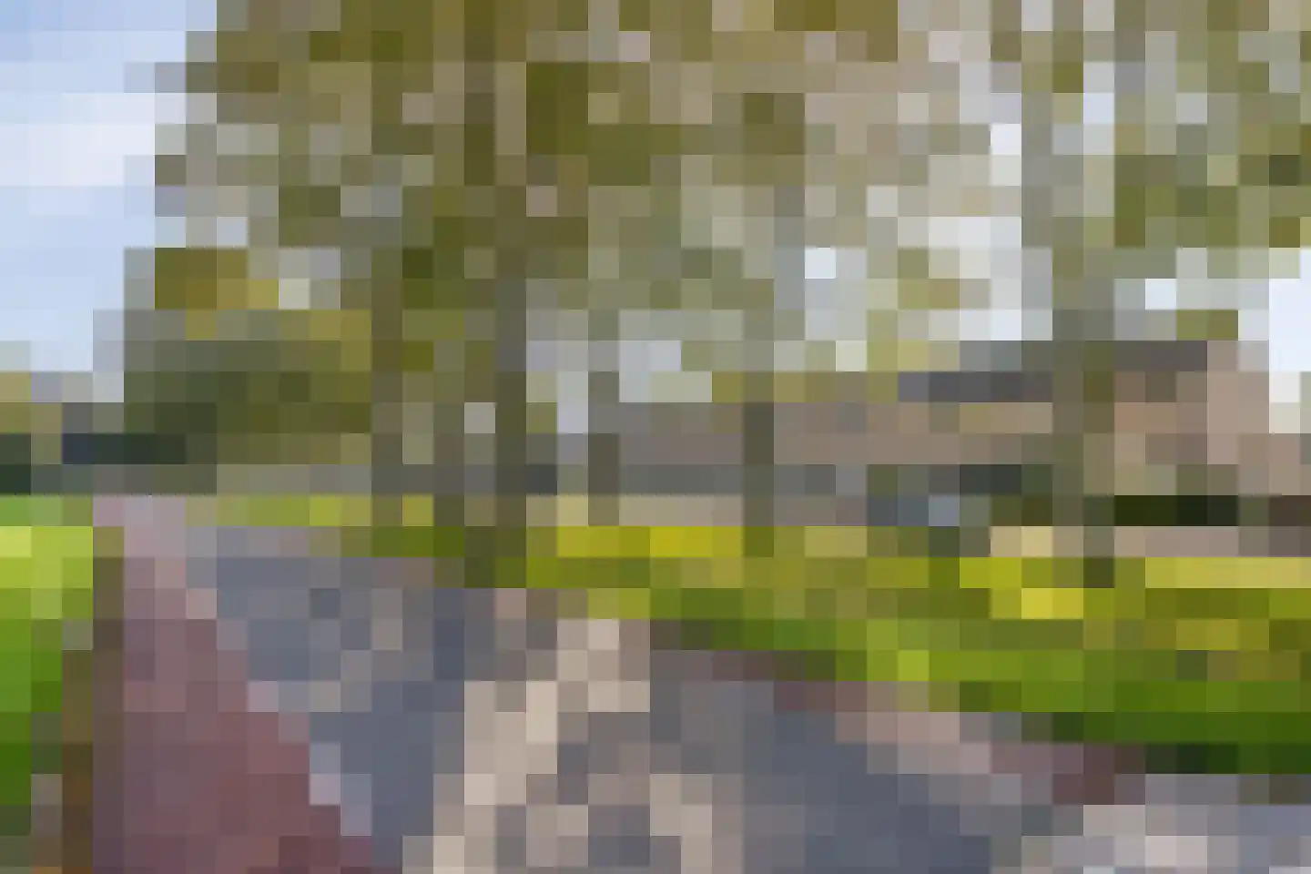 De Morinel 20 Dronten thumbnail 35