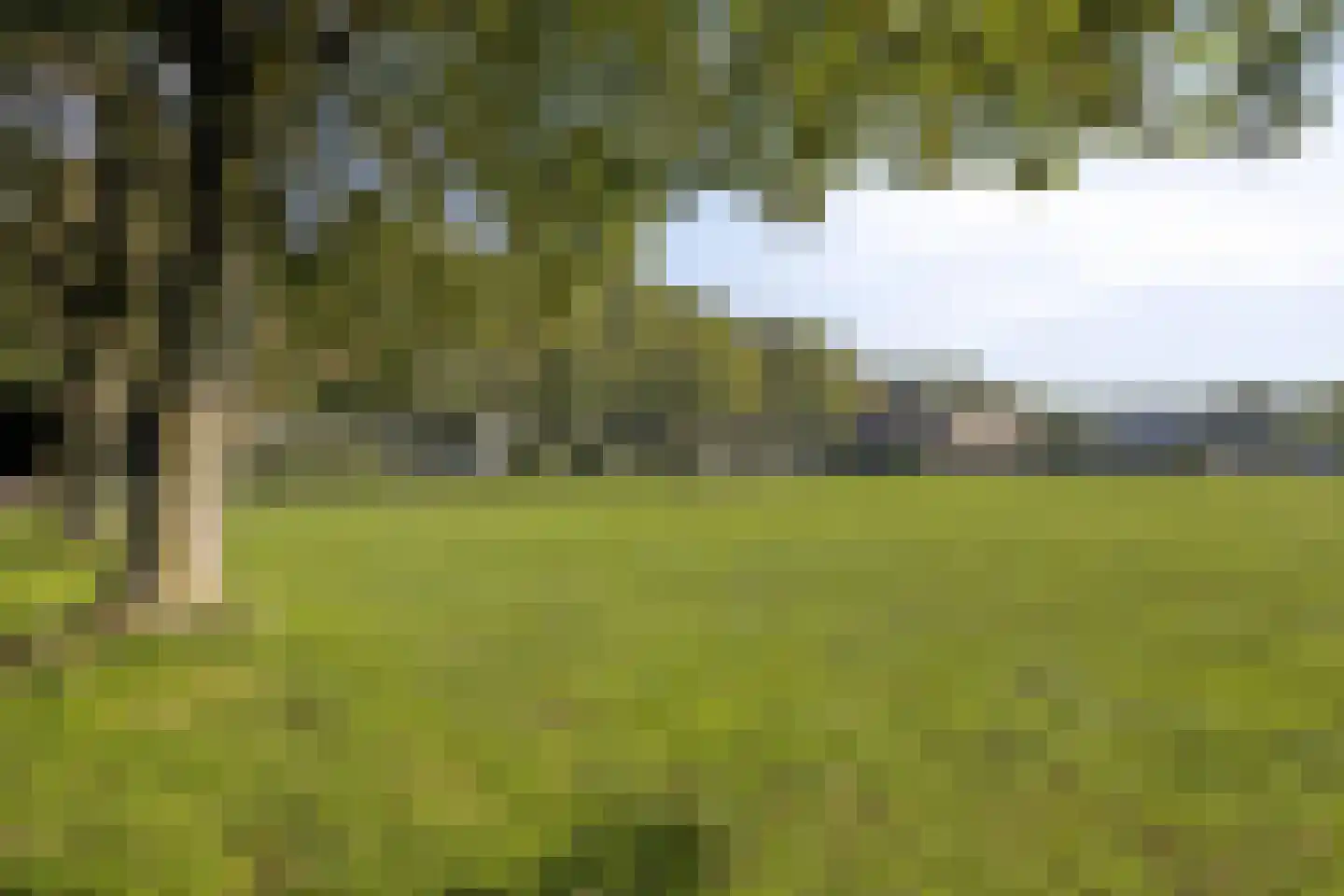 De Morinel 20 Dronten thumbnail 38