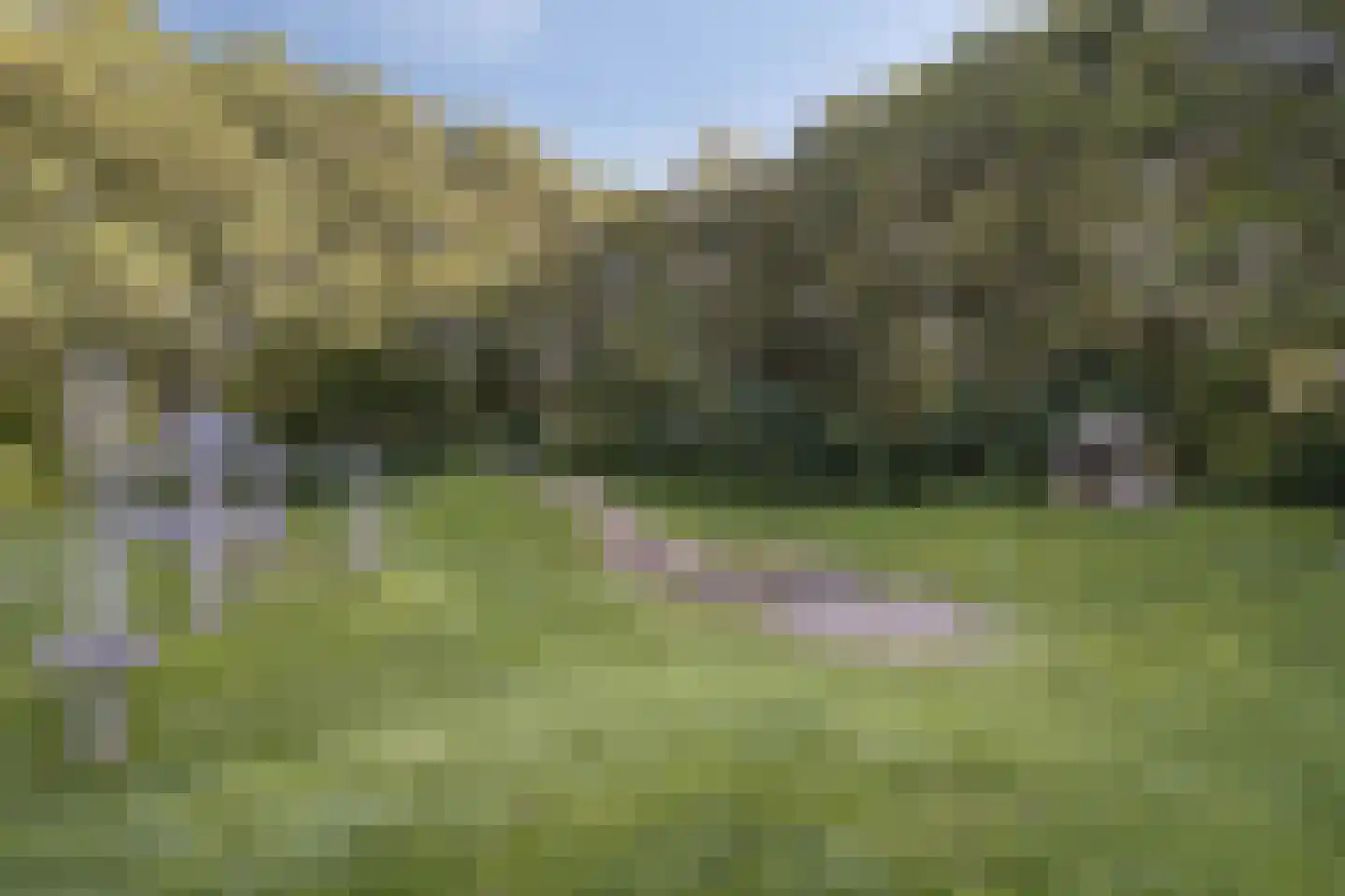 De Morinel 20 Dronten thumbnail 39