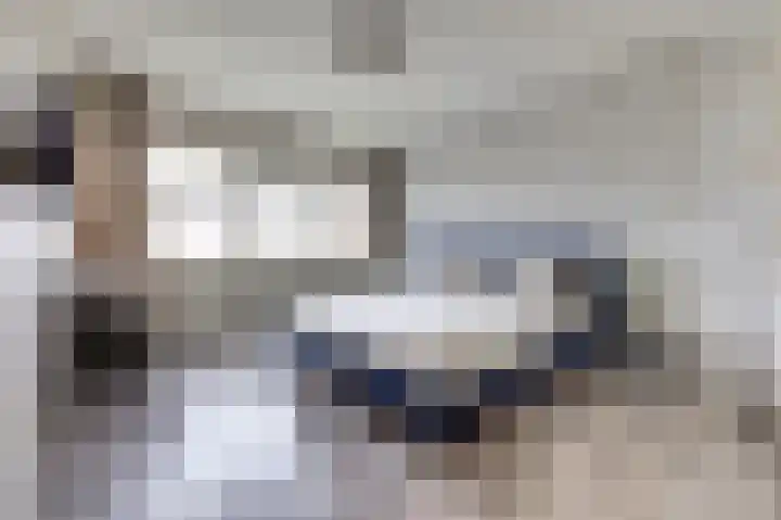 De Morinel 326 Dronten thumbnail 18