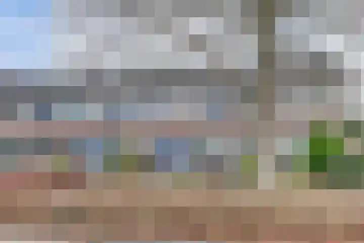 De Morinel 326 Dronten thumbnail 30