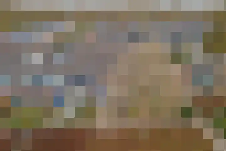 De Morinel 326 Dronten thumbnail 31