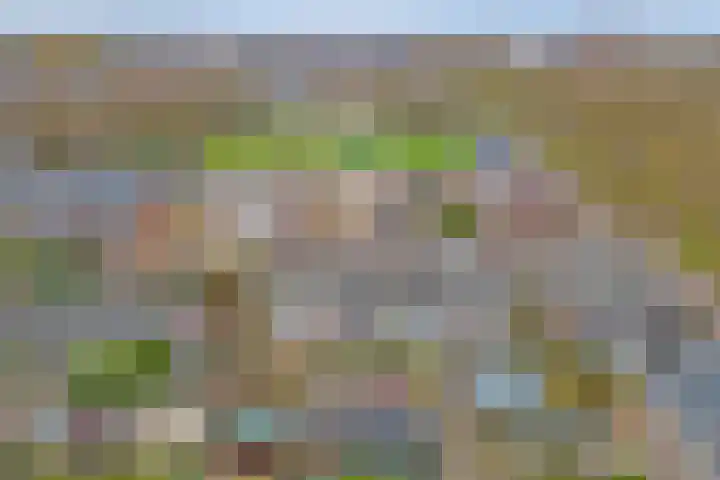 De Morinel 326 Dronten thumbnail 33