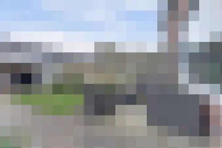 De Morinel 326 Dronten thumbnail 36