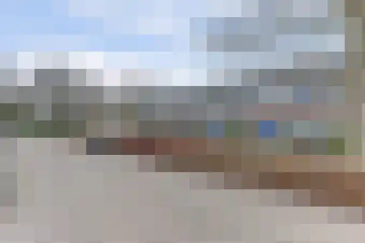 De Morinel 326 Dronten thumbnail 39