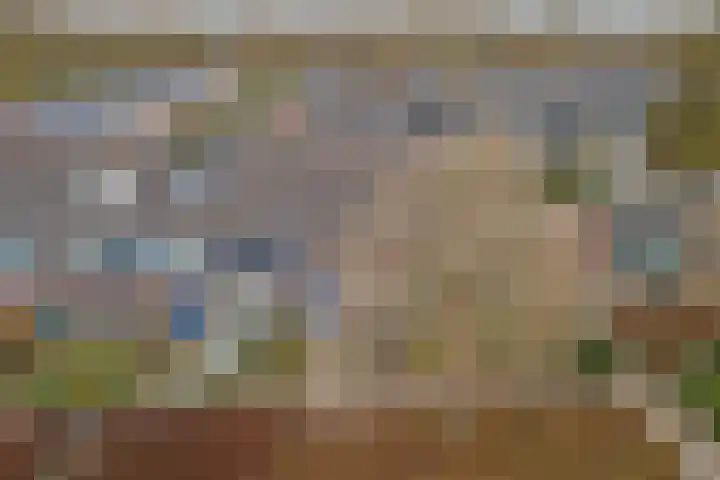 De Morinel 326 Dronten thumbnail 5