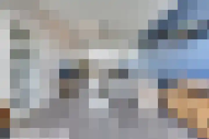 De Morinel 326 Dronten thumbnail 7