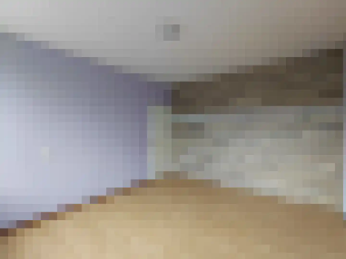De Morinel 368 Dronten thumbnail 15