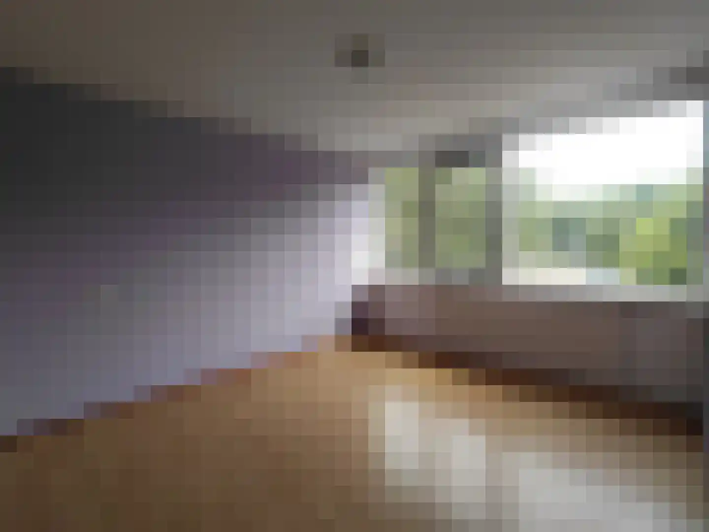 De Morinel 368 Dronten thumbnail 16
