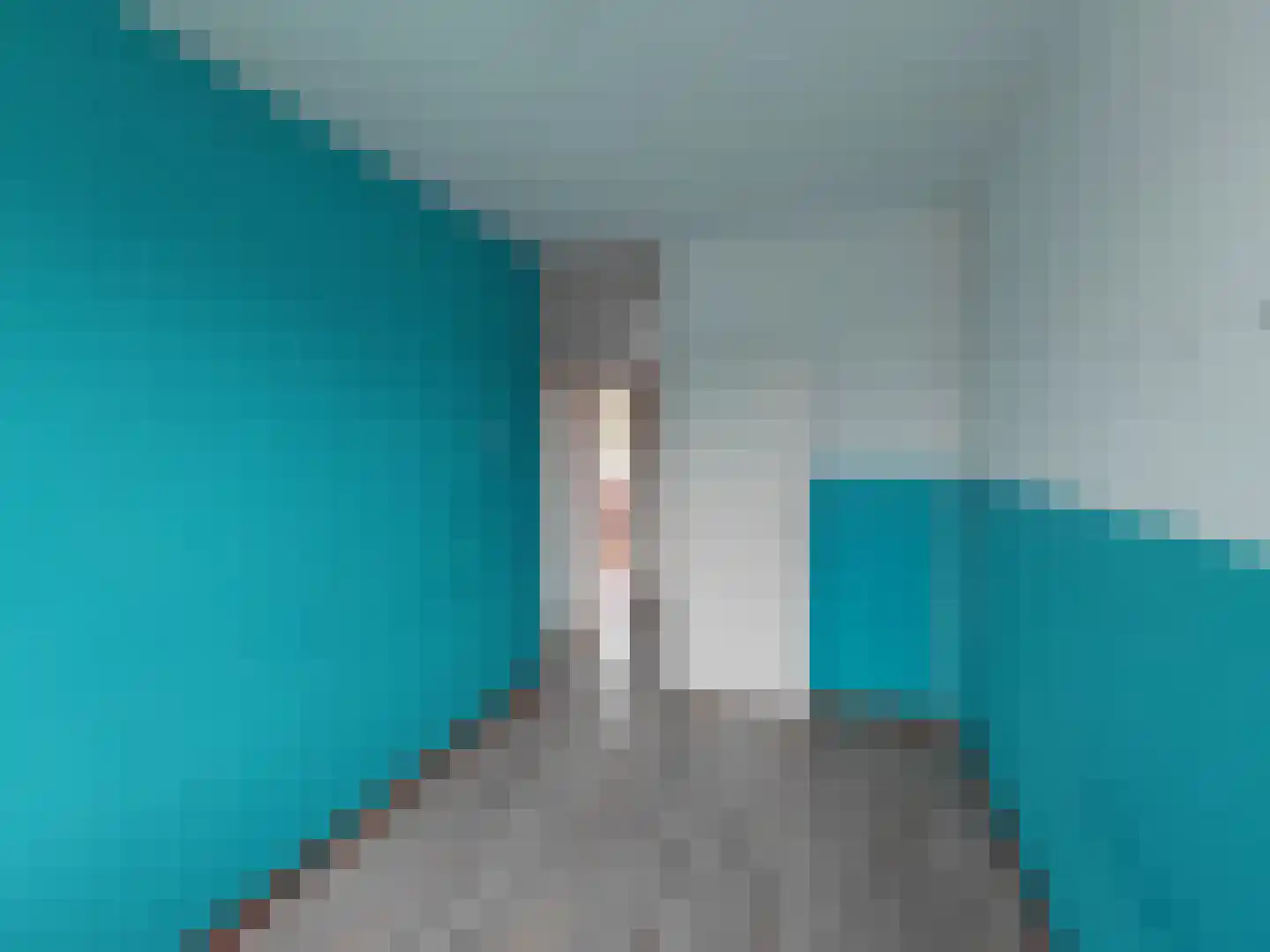 De Morinel 368 Dronten thumbnail 17