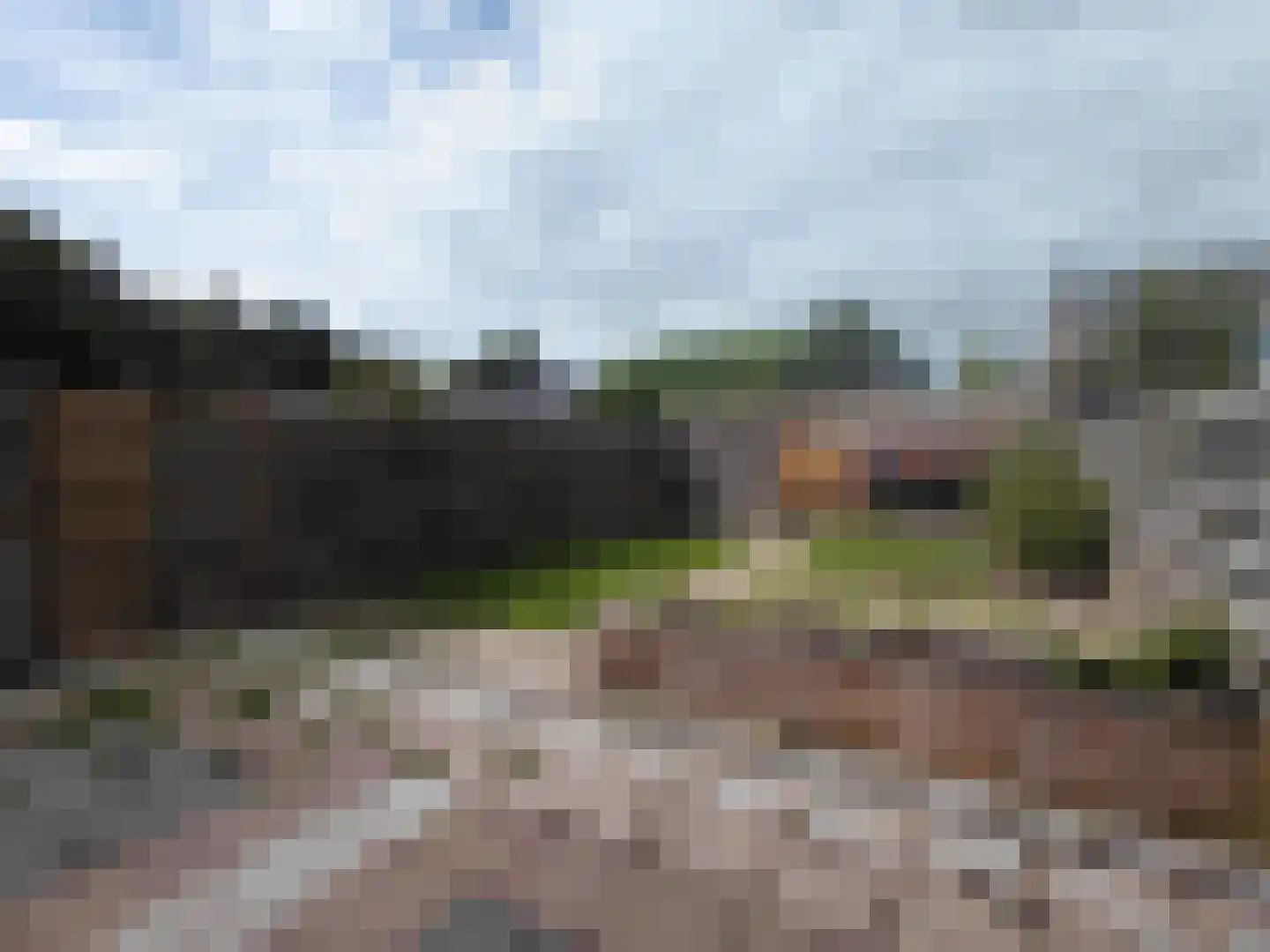 De Morinel 368 Dronten thumbnail 23