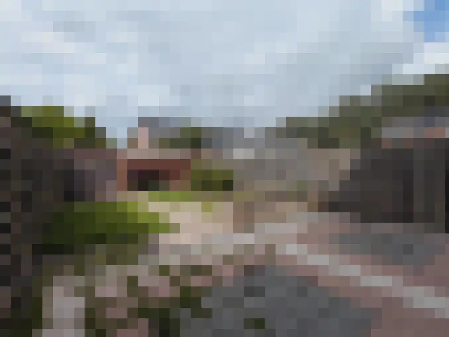 De Morinel 368 Dronten thumbnail 24