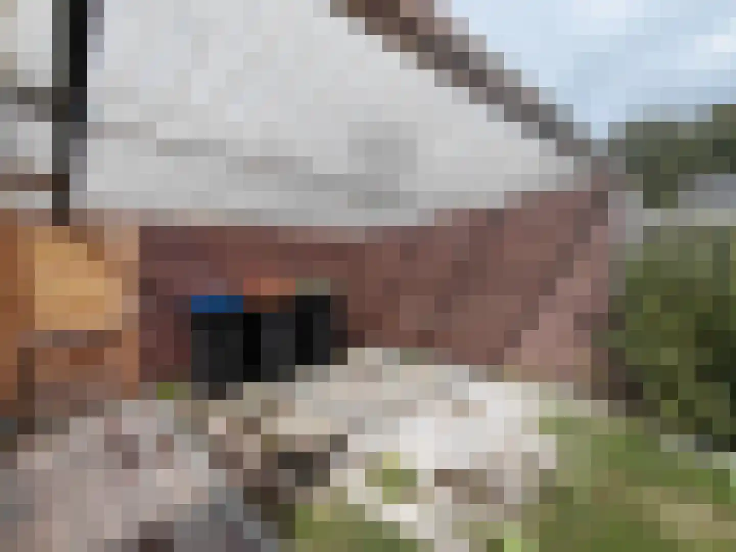 De Morinel 368 Dronten thumbnail 25